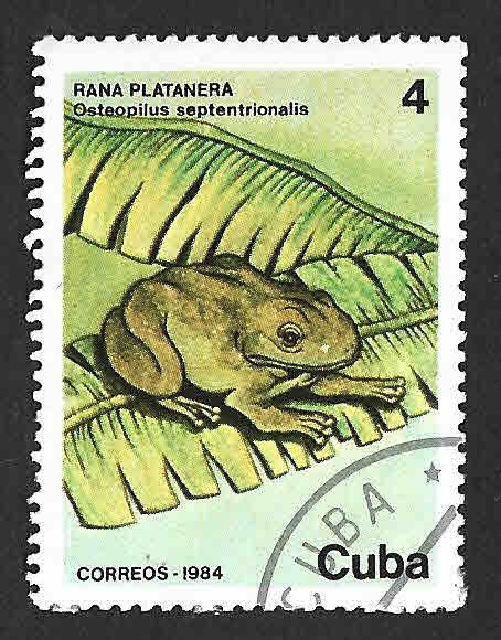 2738 - Rana Platanera