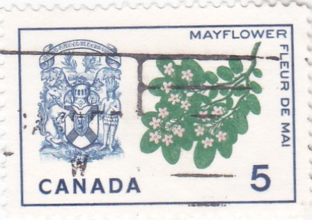 escudo y flores