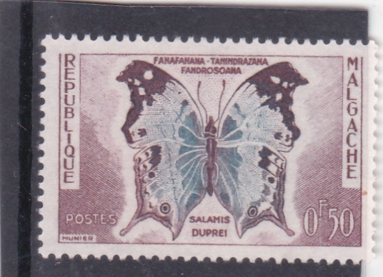 Mariposa
