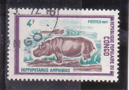 hipopotamo