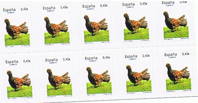 Fauna:  Uruguallo