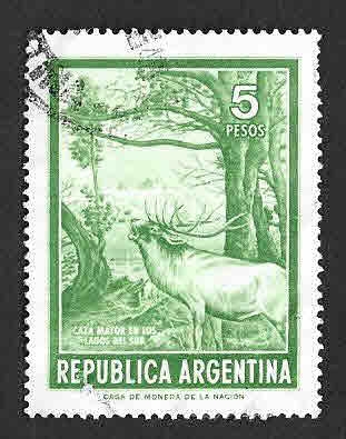 1041 - Caza Mayor en los Lagos del Sur