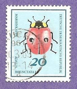 RESERVADO CARLOS RODENAS
