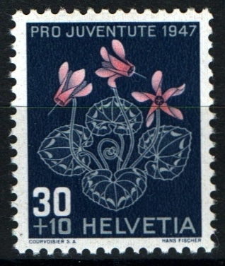Pro juventud