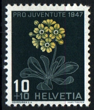 Pro juventud