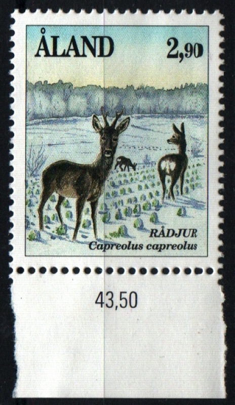 serie- Fauna