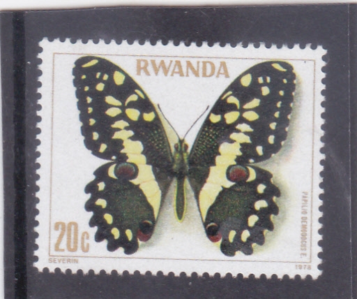 Mariposa