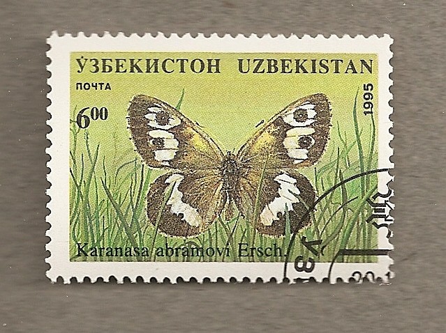 Mariposa Karanasa abromovi