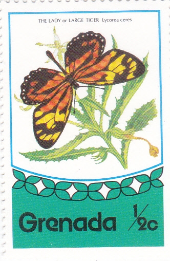 Mariposa