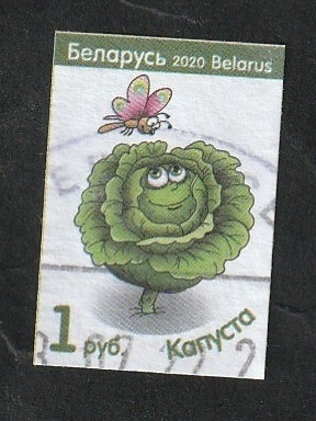 1138 - Legumbre