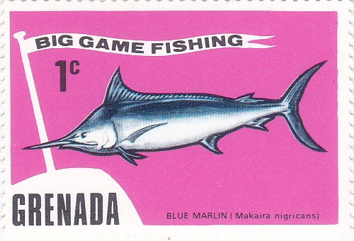 CAMPEONATO DE PESCA