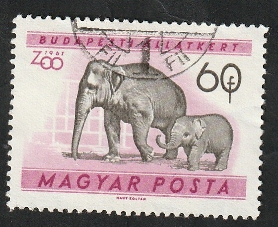 1416 - Jardín zoológico de Budapest, elefantes