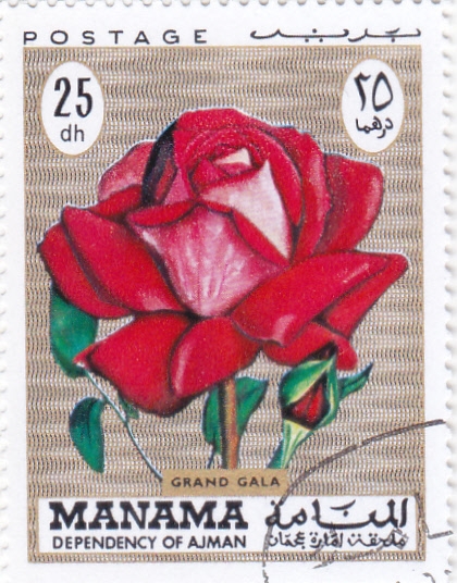 FLOR- rosa