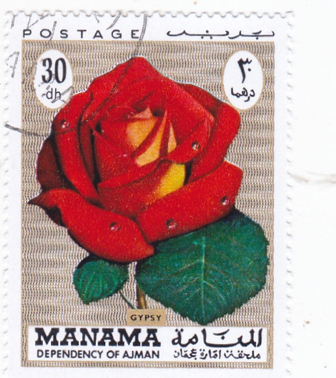 FLOR- rosa