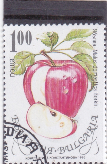 Manzana