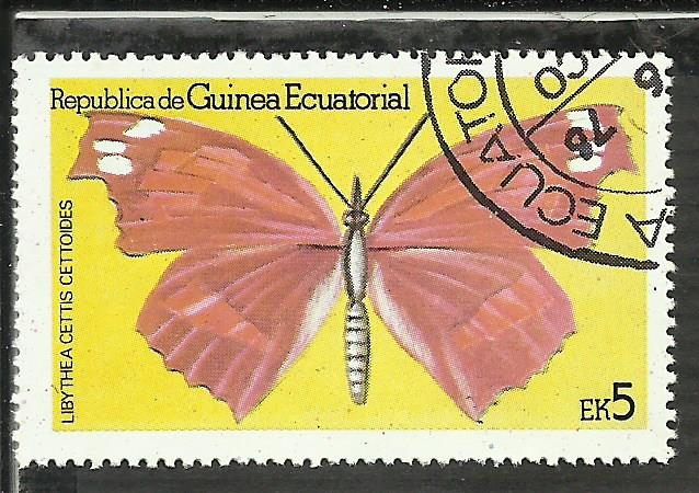 Libythea Cettis Cettoides