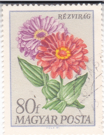 FLORES