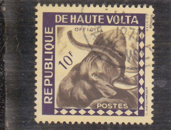 elefante