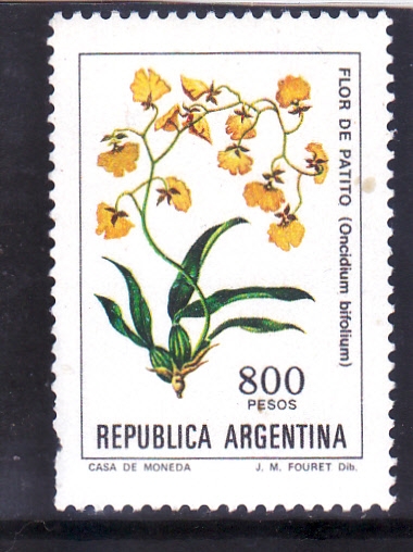 FLORES- flor de patito 