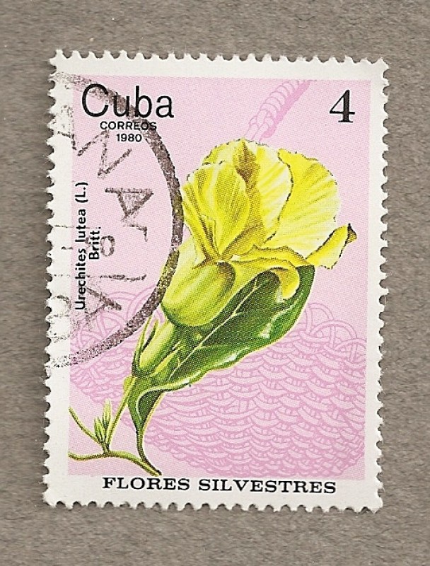 Flores silvestres