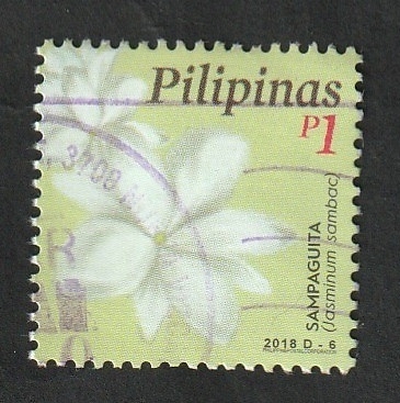 4202 - Jazmin de Arabia, jasminum sambac
