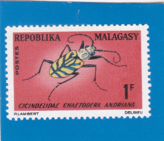 INSECTO
