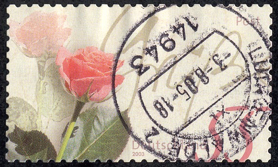 Rosas