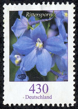 Flora
