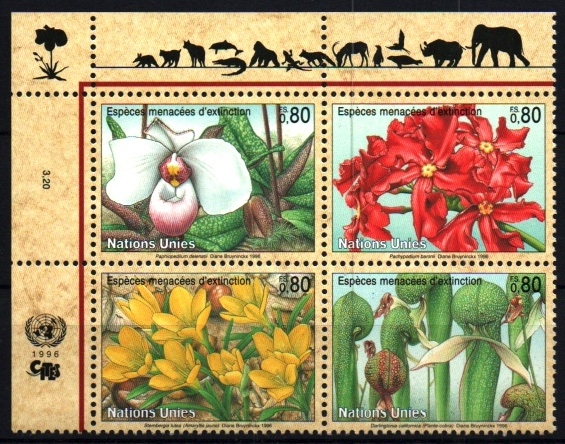 Especies en peligro de extinción