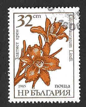 3186 - Flores