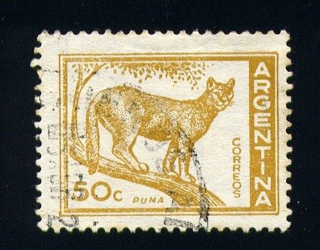 Puma