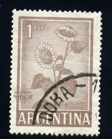 Girasol