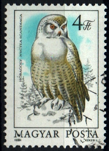 serie- Fauna protegida