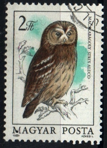 serie- Fauna protegida