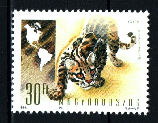 serie- Fauna americana