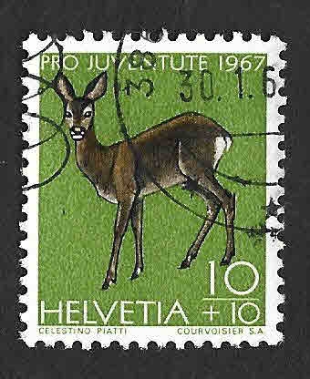 B370 - Animales Salvajes
