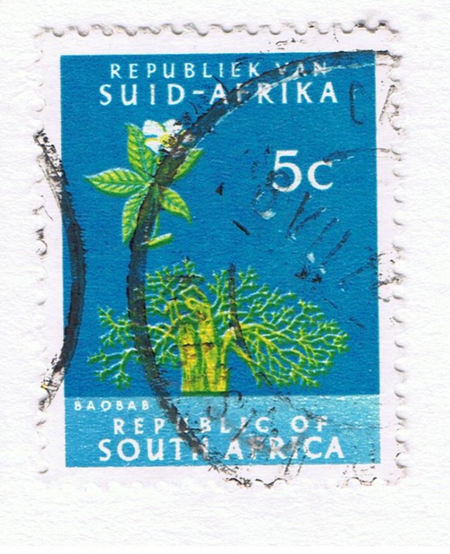 Baobab