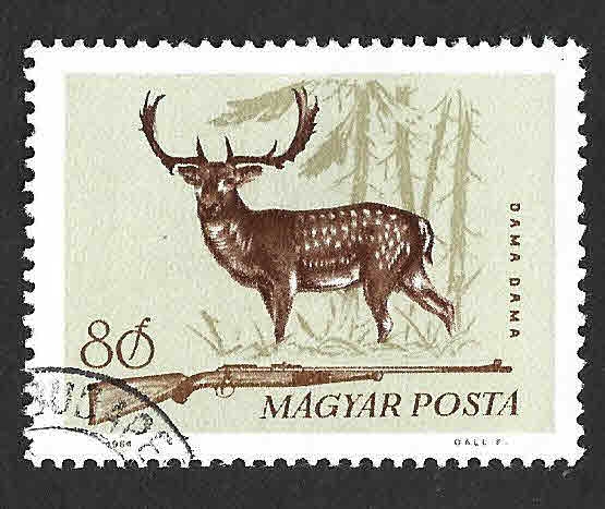 1630 - Gamo Común Europeo