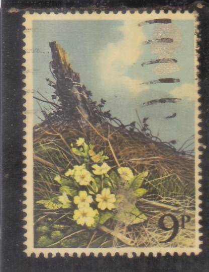 FLORES