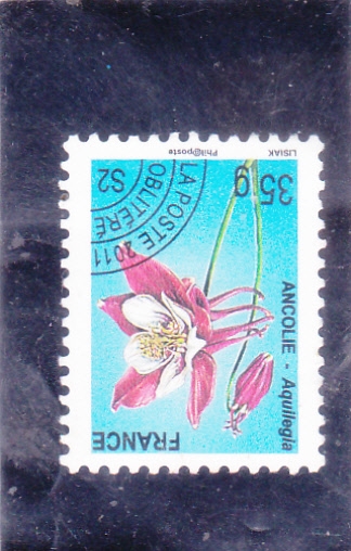 FLORES