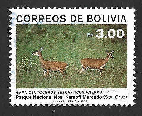 791 - Parque Nacional Noel Kempff Mercado 