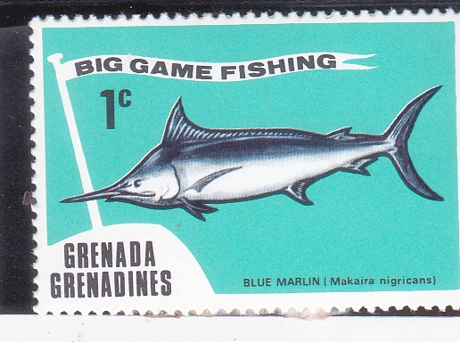 pez espada