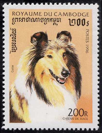 Perros de raza