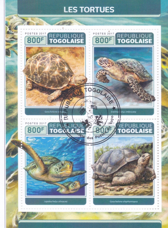 TORTUGAS