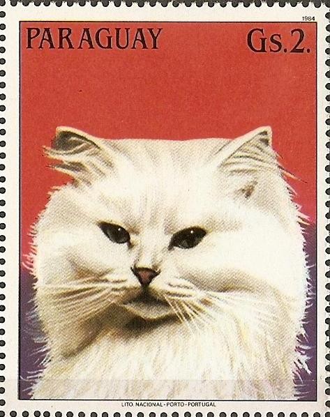 Gatos