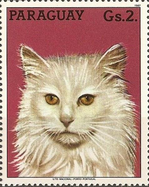 Gatos II