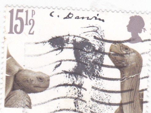 Carles Darwin-naturalista británico,