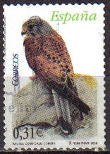 ESPAÑA 2008 4377 Sello Serie Flora y Fauna Aves Pájaros Cernicalo comun Usado