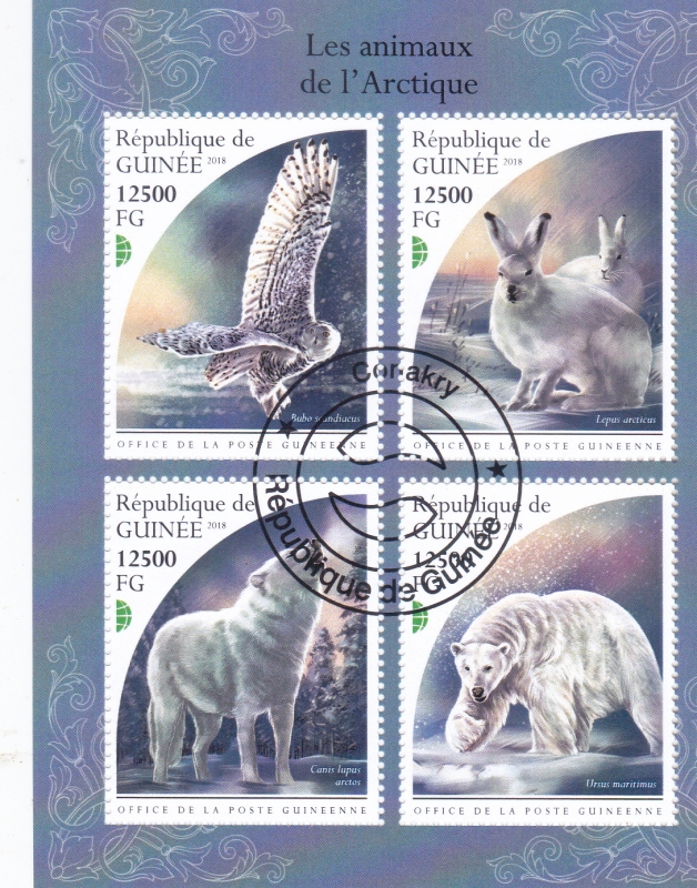 ANIMALES DEL ÁRTICO