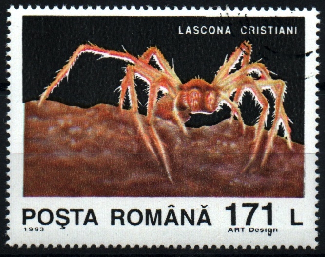 Araña